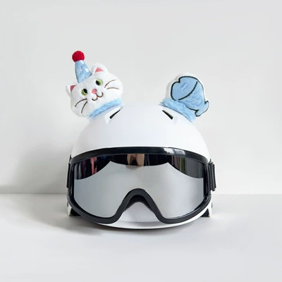 for Electric Vehicles, Ski – Dəbilqə (Kaska) aksesuarları - kitten-fish