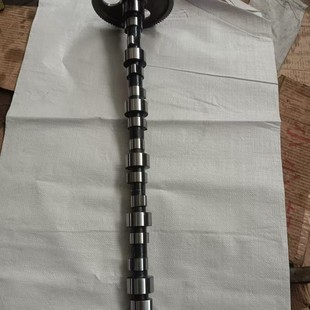 Shangchai D9 camshaft assembly