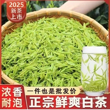 安吉白茶嫩芽2025新茶安吉同款白茶高山绿茶罐装散装罐炒