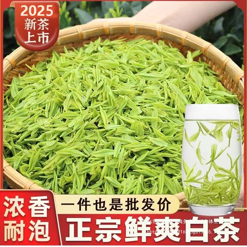 Anji White Tea Tender Buds 2026 New Tea Anji Same Style White Tea High Mountain Green Tea Canned Loose Tea