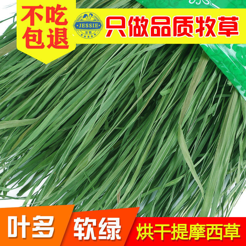 78d381a5-e3d9-420a-a8ba-bedb669cb26b.jpe