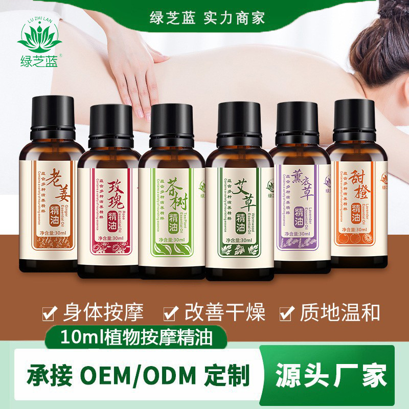 绿芝蓝10ml艾草玫瑰精油身体按摩精油温和推拿通络刮痧油小瓶简装