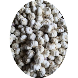 �����ڴ��ӹ��¼������l�s����t�����10����ӆ���r����