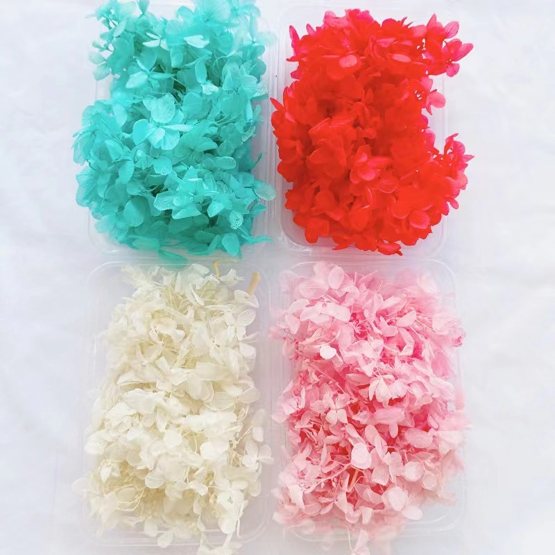 Festival bricolaje hecho a mano material de flor eterna planta flor seca florero flotante aromaterapia flor seca abanico de material paquete al por mayor