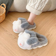 �ɐ�����ЬŮʿ����2024�¿������҃ȼҾӰ�����ůë�q��ЬŮ����