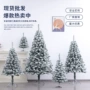 跨境桌面家用圣诞节圣诞树