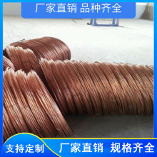 变电站输电线路杆塔95 120平方防雷接地母线放热焊接接地铜覆钢绞