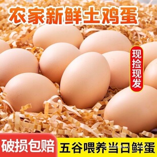 ���r���u��ι�B���ӵ�ɢ�B���u���I�B�����Ȳ��u���x���r��