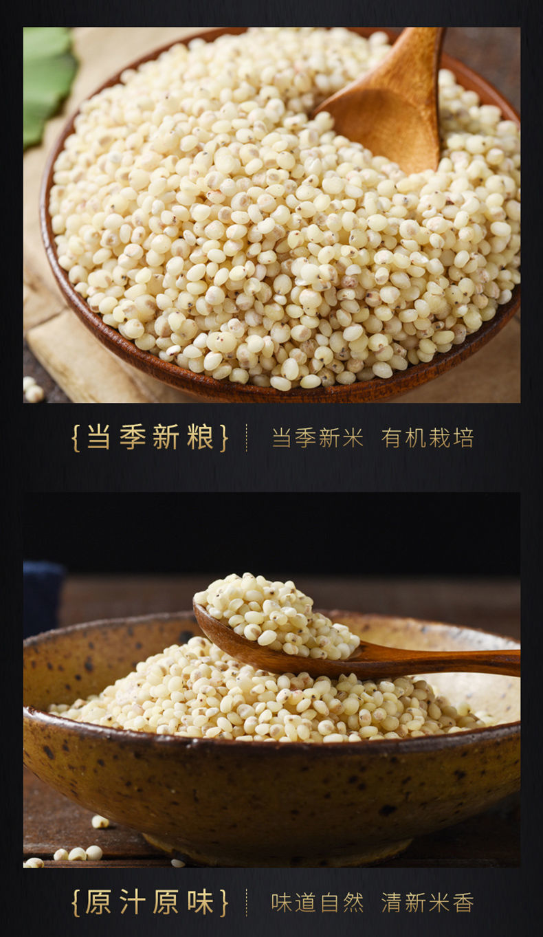 Sorghum Rice 500g Gao Liang Mi Whole Grain for Congee Porridge and Cooking in use
