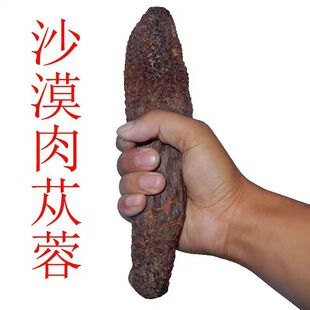 �½���ɐ�ش�ܿ��ʿ�I���aƷ���B�B�ɴ�����iꖿ�������Ƭ���l