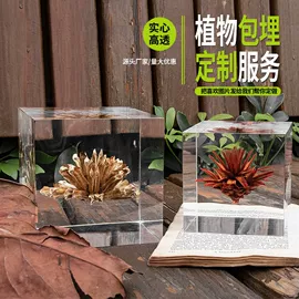 工艺礼品项目;标本;树脂工艺品