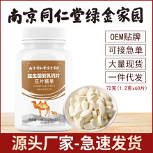 益生菌驼奶乳钙片南京同仁堂绿金家园中老年成人儿童咀嚼奶香片
