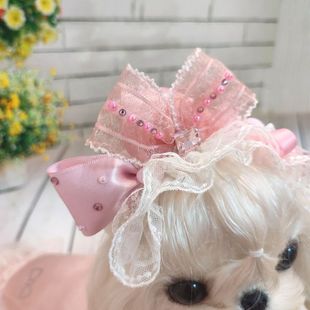 �����^��¿�������ɫ�����Y�����l���l�A�����R����˹�s���Č���