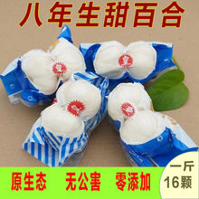 兰州新鲜百合食用现挖野生甜百合滋补煲汤产地直供