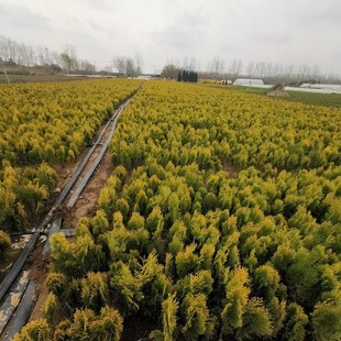 ���ش������l�����ë��Ȱ�������ؙu�؃��|Ʒ�N�Rȫ