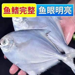 ����S���]����̖�y�K�~�|��Ұ�����K�~���K�~ƽ�~���r������r
