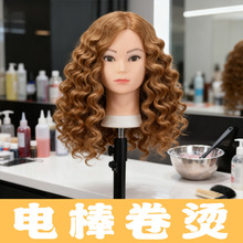 头模假发学徒练习修剪编发盘头模头化妆造型卷烫练习公仔头教习头