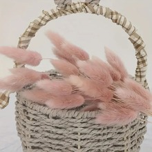 ��β���������ɻ�����ins�滨�b[���L����Ȼ��β�Ͳݿ͏d�[�O