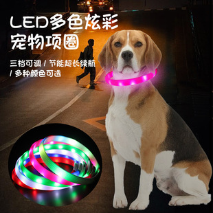 Led Pet Luminous Collar Dog Flashing Colorful Neck Ring, Adjustable Anti-Lost USB Rechargeable Dog Collar and Leash