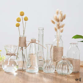 迷你富贵竹纳迪餐桌小雨花瓶简约水晶玻璃花瓶干花花瓶插花瓶
