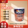 家用防霉新款抗碱底漆