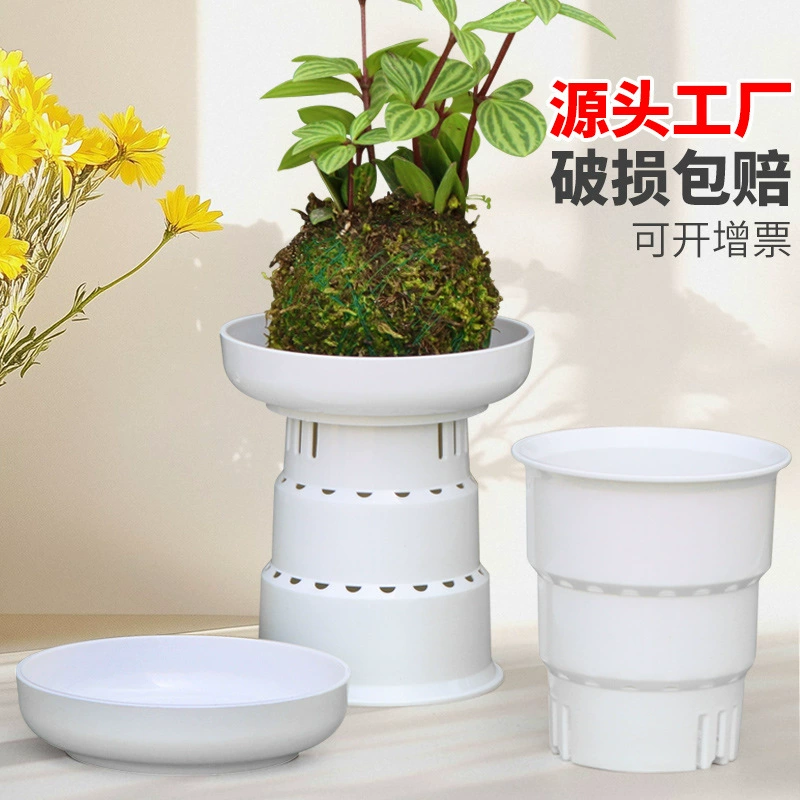 Новый креативный цветочный горшок аир мяч гидропонный цветочный горшок бразильский деревянный мох шар горшок утолщенный дышащий пластиковый цветочный горшок оптом