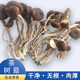 莲子;茶树菇