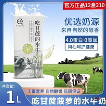 认养水牛奶广西吃甘蔗的水牛乳商用纯牛奶酪咖啡拿铁轻乳茶原料