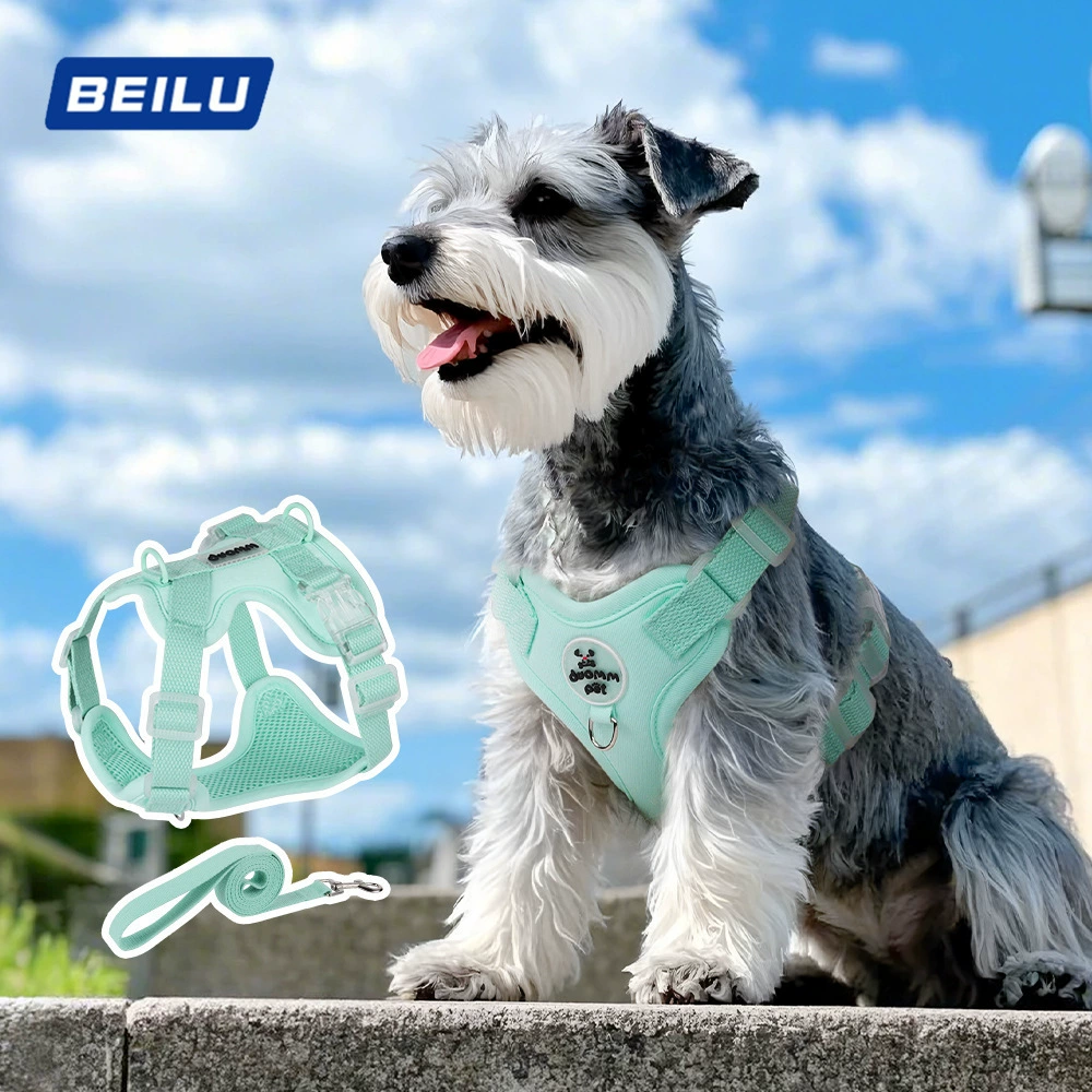 Собачий буксирный поводок Маленькая собака Тедди Би Медведь Дышащий ремень на груди предотвращает отрывание домашних животных на открытом воздухе