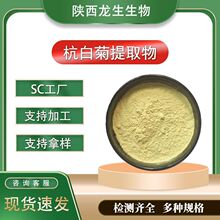 木犀草素5%10%20% 杭白菊提取物 杭白菊浓缩萃取粉500g厂家现货
