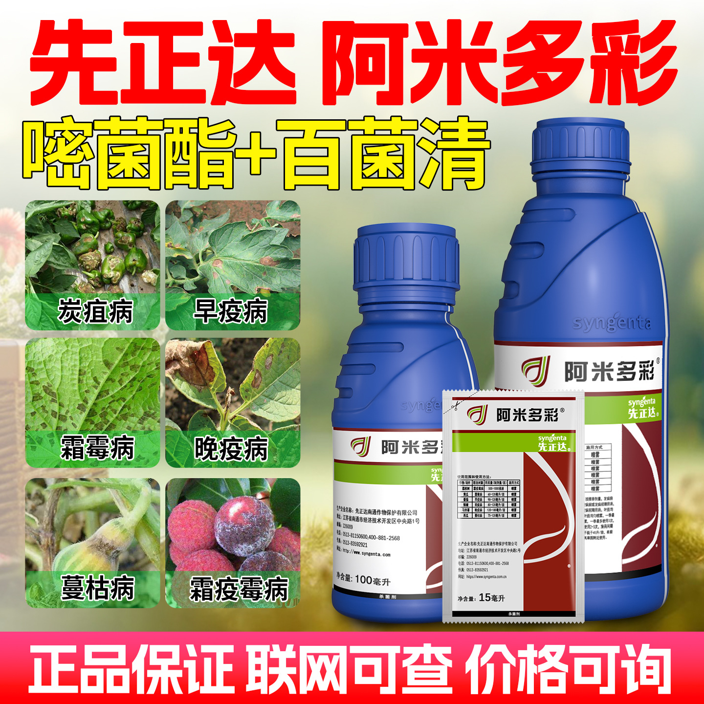 阿米多彩先正达百菌清嘧菌酯霜霉病炭疽病早晚疫病农药杀菌剂
