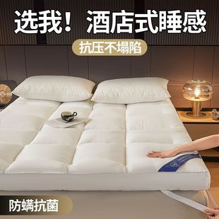 Five-Star Hotel Mattress Home Soft Mat Bedroom Tatami Soft Bed Mattress Mat Thick Mattress Mat Quilt Mattress Feather Silk
