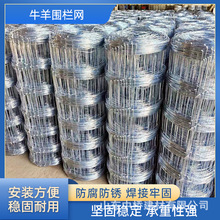 热镀锌勾花网光伏铁丝网钢丝网栅栏网鸡鸭牛羊养殖网隔离果园围栏
