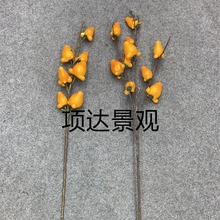 �����S����{����۹����쾰��̨�Ĕz���߲廨��ˇ�Ƶ�Y�ò���