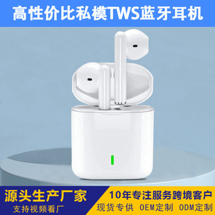 �羳����˽ģTWS�o���{�����C�\���p���L�m�������|�̓r���C���l