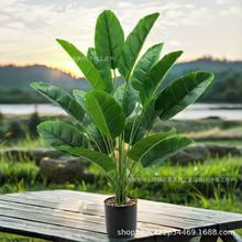 ����Gֲ�����B���滨�٘�ֲ������߶��p�ݿ͏d��ؔ[���쾰����