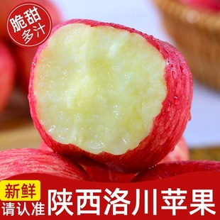 ����崨�t��ʿ�O�����rˮ���������Fժ�����Ĵ����ԭ�������