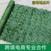 【Caiyin】 Sweet potato leaf fence