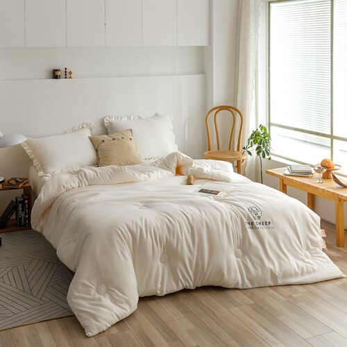 Winter cashmere protein soybean fiber thickened spring and autumn double-boost protein warm double warmth double-layer duvet core