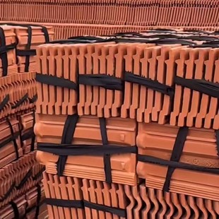 ���l�e�����沨�����bt����Ƭ�¹��߈@�־��^���B�t�ߏS�ҹ���