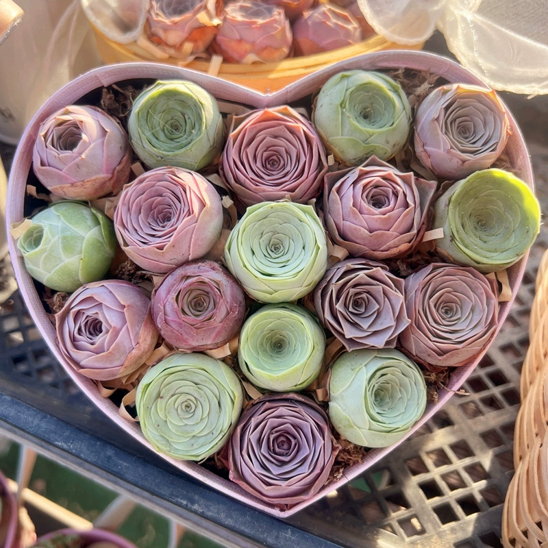 Комбинированный набор роз, суккулент, персик, розовая горная роза Yero, бокал для вина, яйцо с пармезаном, Moshanghua