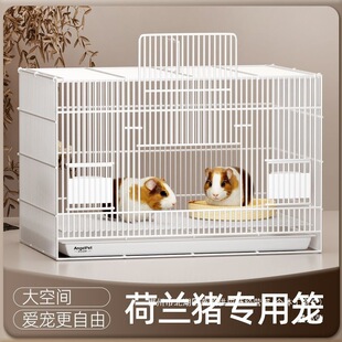 �S��ֱ�N���m�i�\��٪������e���҃ȵ��⎧�\���F�z�W�B