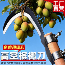槟榔刀镰刀农用割草刀高空割香椿除草工具小镰刀户外钓鱼刀镰刀头
