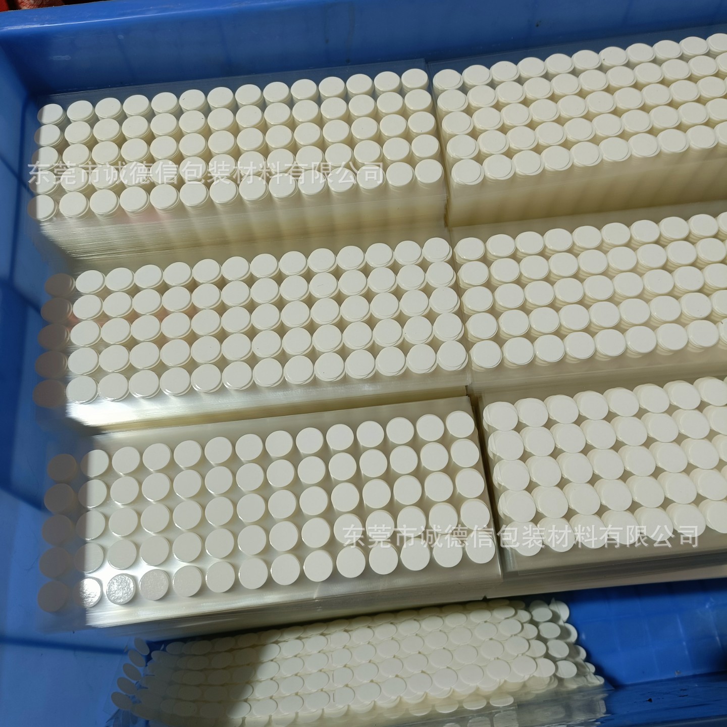 IMG20211118142842(1)