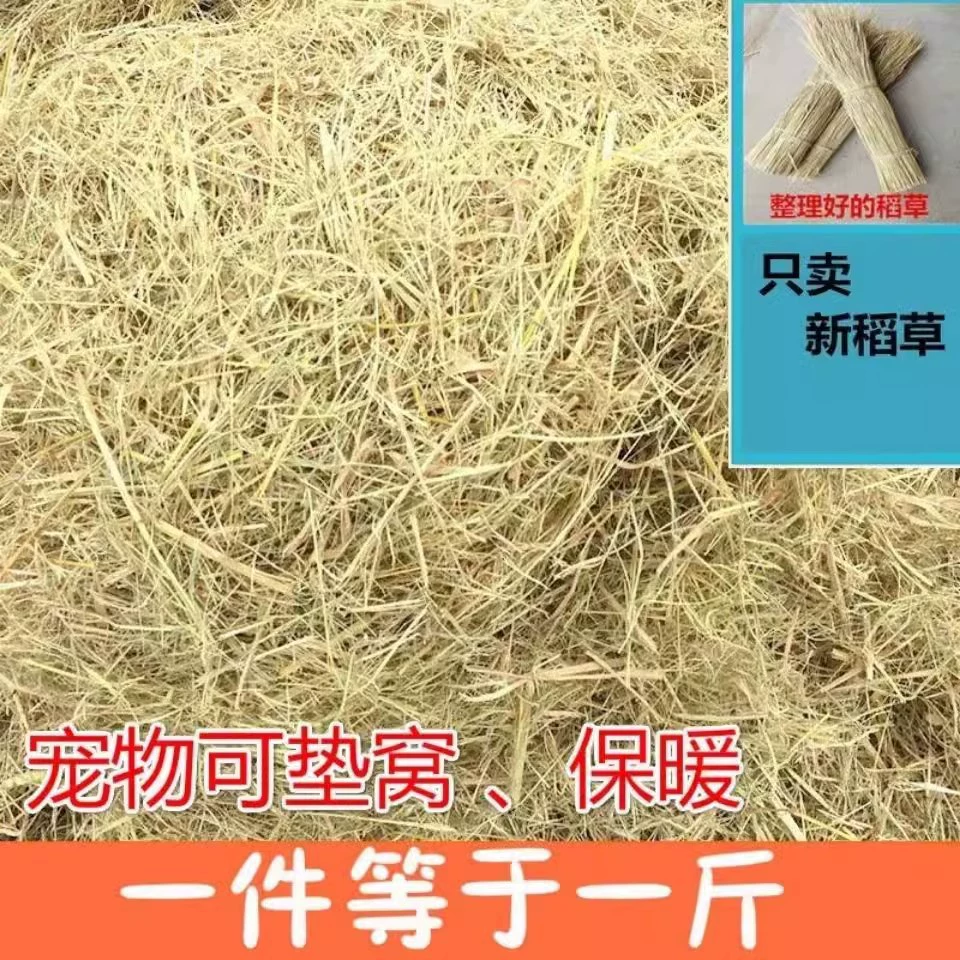 Соломенный сенокос Подстилка для кроликов зимняя трава собачий помет цыпленка домашние питомцы гнездо натуральная сухая солома солома солома солома согреет