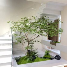 ���^�����uצ�ʷ�����쾰�҃ȾƵ�����ۘǲ������쾮�b�