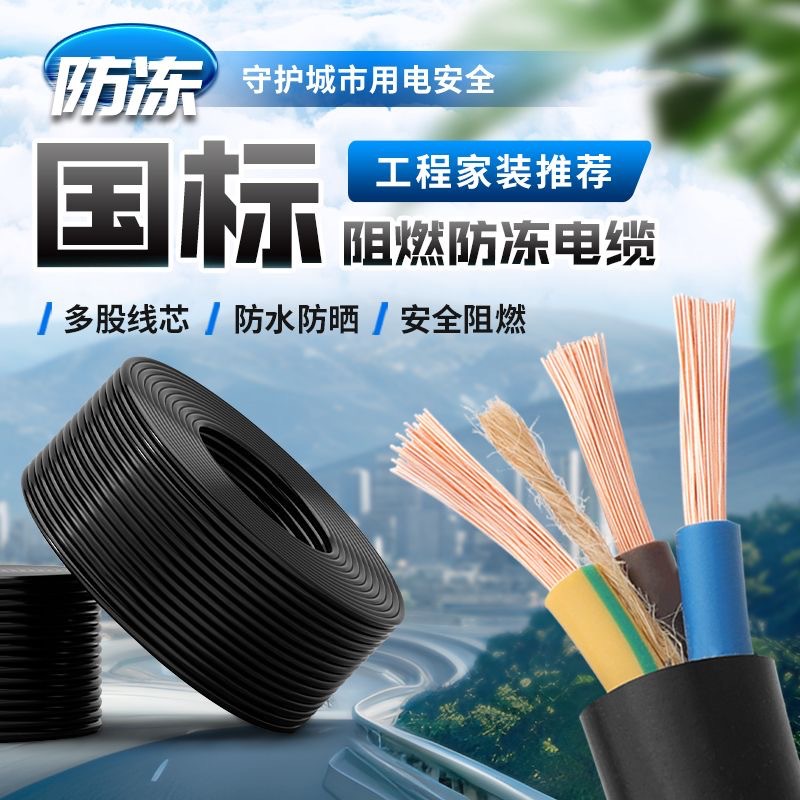国标电缆线室外阻燃两相三相2芯3芯2.5/4/6平方防冻护套RVV电源线