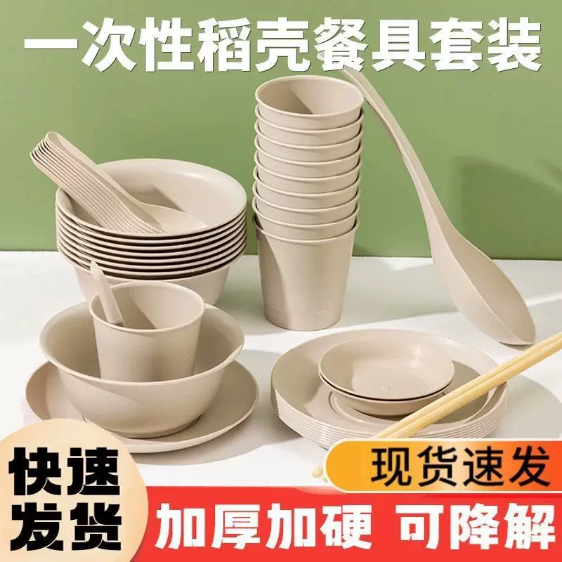 disposable tableware, set