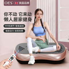 跨境懒人家用运动塑身减肥永康健身器械律动抖抖机甩脂机热销