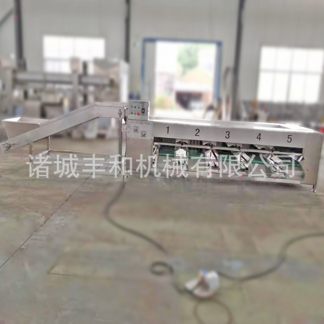 供应玉米大小分级机 土豆马铃薯分级机 蔬菜分级机 胡萝卜分级机